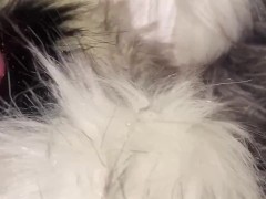 Multiple Furs Attack - Screenshot 9 of 16 - Try Not To Cum