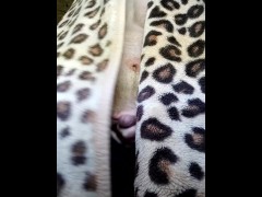 Большой член любит, когда его дрочат двумя руками - Screenshot 2 of 16 - Big Dick