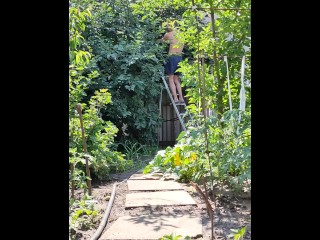 Вишня созрела. Я собираю урожай.