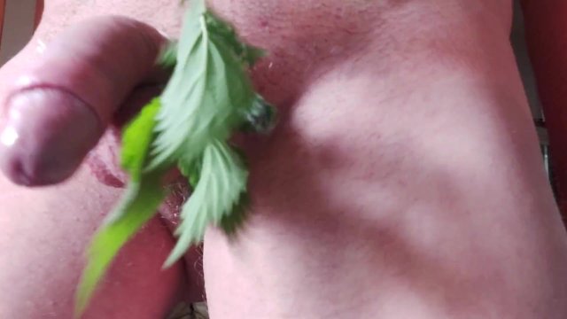 Stinging nettles feel good