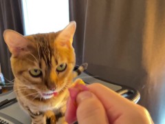 COMPILATION of Pussy Eating