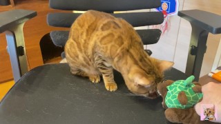 Pussy sucks deliciously on your stuff ... . She likes to be bitten hard ... .