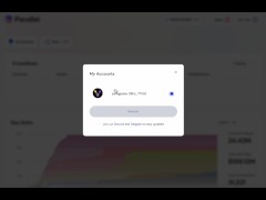 恭喜 Totem 贏得波卡 21次插槽拍賣！錢包介面微更新，找不到的小夥伴不要著急可以看影片內的介紹...