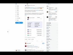 恭喜 Totem 贏得波卡 21次插槽拍賣！錢包介面微更新，找不到的小夥伴不要著急可以看影片內的介紹... - Screenshot 2 of 16 - Polkadot
