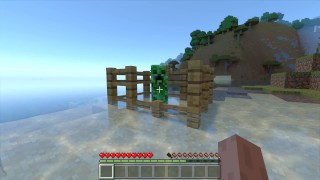 Se faire baiser par un Creeper dans Minecraft 11: Dick Cage