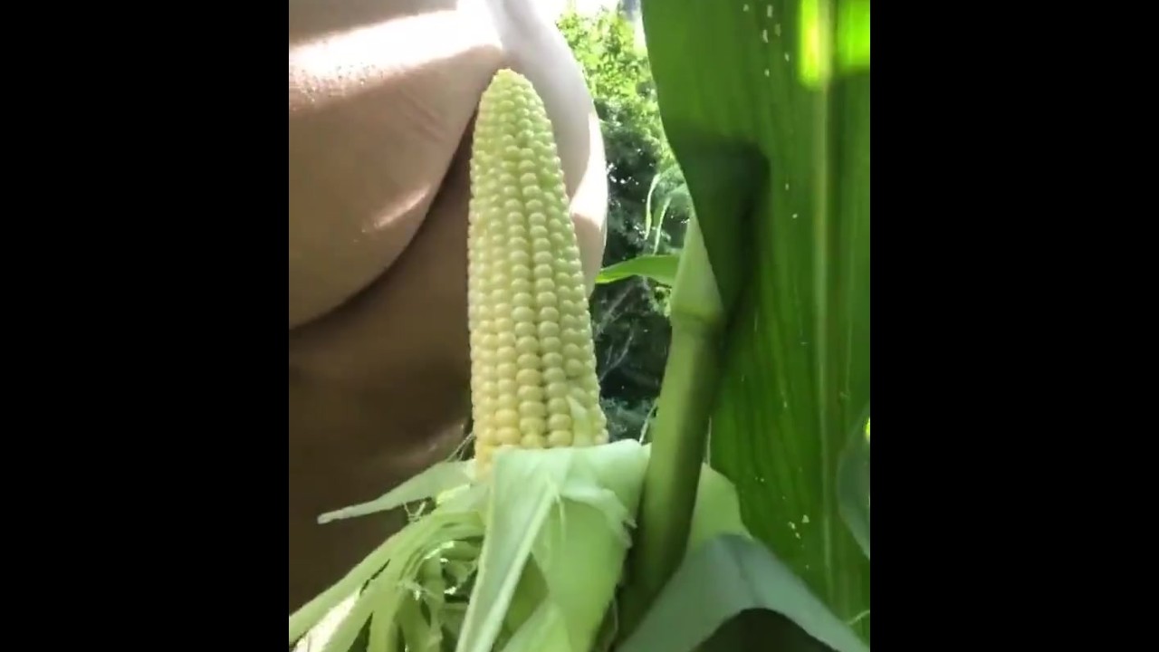 Corn Cob Fucking. we outside 🤪 - Pornhub.com