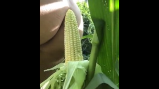 Corn Cob Fucking We Outside