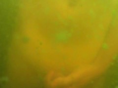 Solo male - beach morning touch under water