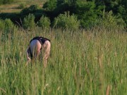 Preview 1 of Fucked a young beauty in the field