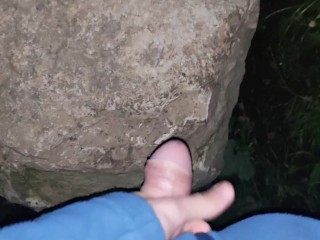 По дороге домой