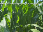 Preview 4 of Cute girl gets DEEPLY FUCKED AND FISTED (Outdoor fuck in a cornfield).