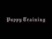 Preview 3 of Puppy Training w/ Roxxie Moth