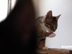 Cute tiny homeless pussy gets a good lick when one of her pussy friends joins