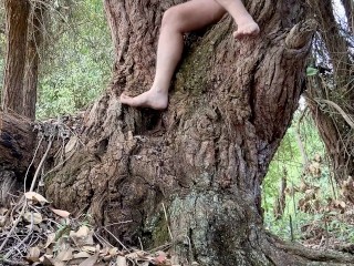 Nu Dans La Forêt, Je Pisse Sur un Gros Arbre