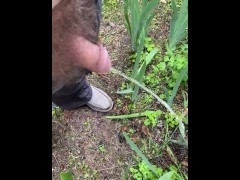 Small dick watering the flowers
