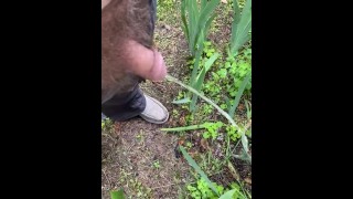 Small dick watering the flowers