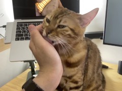 A dirty pussy who invites you to play while you work .... An office that won't let you work until yo