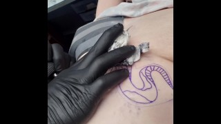 Novo titty tat