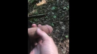 Pipi Désespéré En Public Pisse Dans Les Bois Avec Un Ami