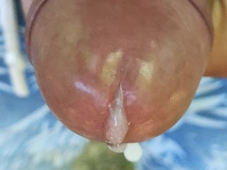 Close up Cumming out of Glans