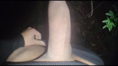 Dicks