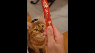 Honor student pussy will lick you to the point of losing all reason when she sees what you have.