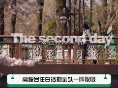 少妇白洁第二集