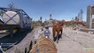 Я сделал простую базу ловушек в Rust (SFW)