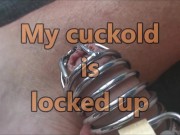 Preview 1 of I fuck with bull while cuckold is locked up