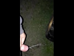 Pissing on my friends Quad bike