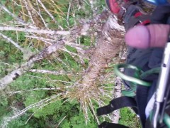 Pissing from 130' up in a tree