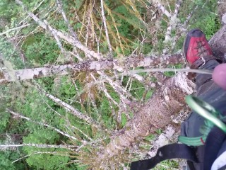 Pissing from 130' up in a Tree