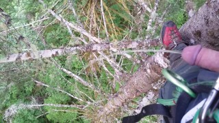 Pissing from 130' up in a tree