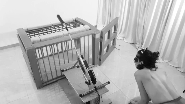 Один день из жизни котенка: Эпизод 4 (ФИНАЛ) - Любопытство испортило Китти | Bdsmlovers91
