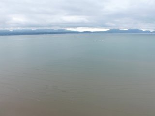 paid_VS:false_2022/07/18 14:35