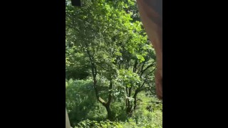 Another walk - been see