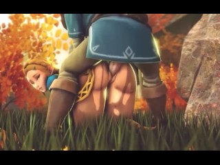 Zelda - Coup Rapide