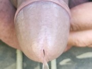 Preview 5 of Uncut cock piss close up