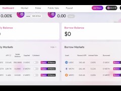 測試網正式啟動 SiO2 Finance：Polkadot 上 Astar 上的多虛擬機借貸中心
