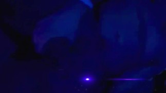 Blowing and stroking my big fat black dick