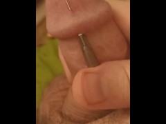 Internal Stimuli for My Penis Head – Needle Pierces Its Way Out of Glans (mini-session on mobile) 