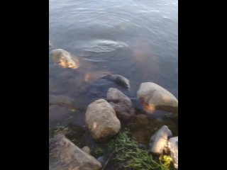 Playing_with myself even using vibrators allover a public park