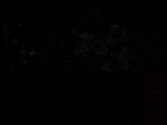 Dark Elf Gang Banged By Goblins - Screenshot 5 of 16 - Gangbang