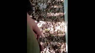 Такин отчаянно мочится в общественном парке