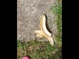 Menina Esmagando Banana