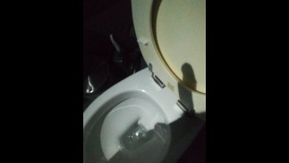 俱乐部里的那些人让我很沮丧。在厕所的皮影戏中被毁坏的性高潮