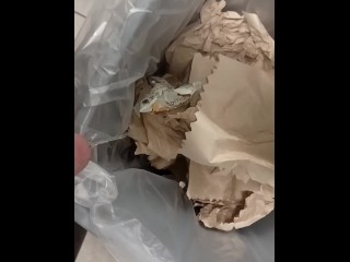 Sean at Work Takes a Desperate Piss in Trash
