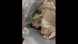 Sean at work takes a desperate piss in trash