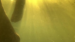 Grande sereia subaquática Titty em um biquíni Pink e Camo