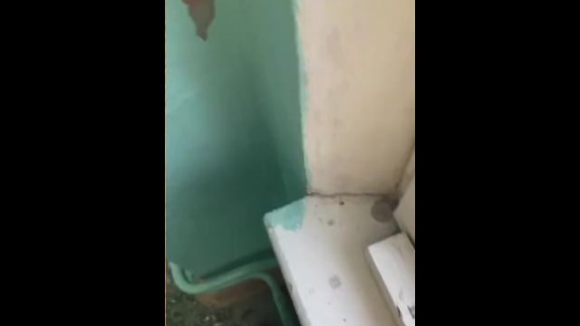 Парень дрочит в школе
